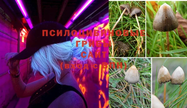 молекула духа Наволоки