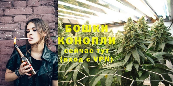 молекула духа Наволоки