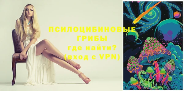 молекула духа Наволоки