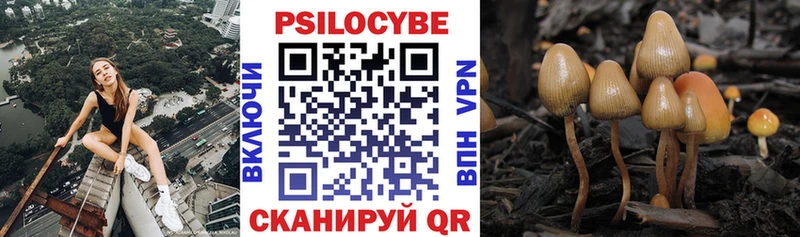 Псилоцибиновые грибы Cubensis  Кызыл 